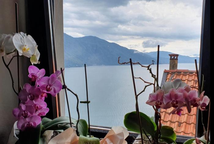 Traumseesicht vom Innen- und Außenbereich