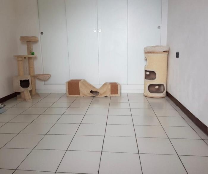 Zur Wohnung gehört sowohl ein Raum im Erdgeschoss für die Waschmaschine und den Boiler als auch ein Dachboden.