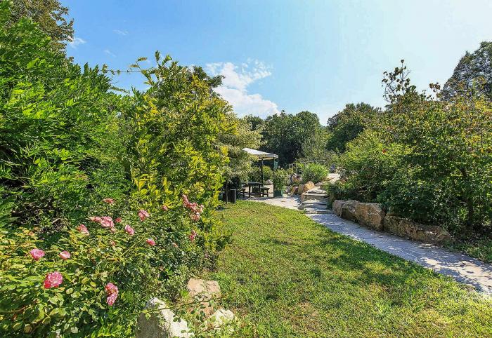 Ca. 10.000 m² großes Grundstück mit Tisch, Bänken und Barbecue sowie einem Pool